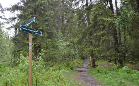 Turstien leder oss inn i Gjelleråsmarka bak Skillebekk, Vestli og Stovner. Følger du stien kommer du opp til Gubbero på toppen av åsen bak Liastua, og videre inn mot Lahaugmoen.