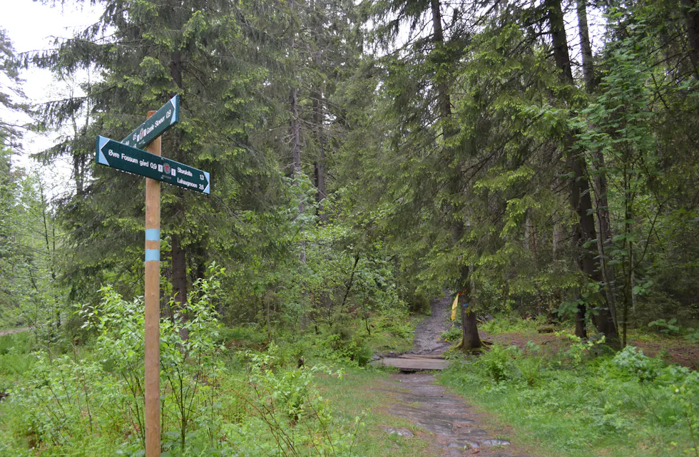 Turstien leder oss inn i Gjelleråsmarka bak Skillebekk, Vestli og Stovner. Følger du stien kommer du opp til Gubbero på toppen av åsen bak Liastua, og videre inn mot Lahaugmoen.