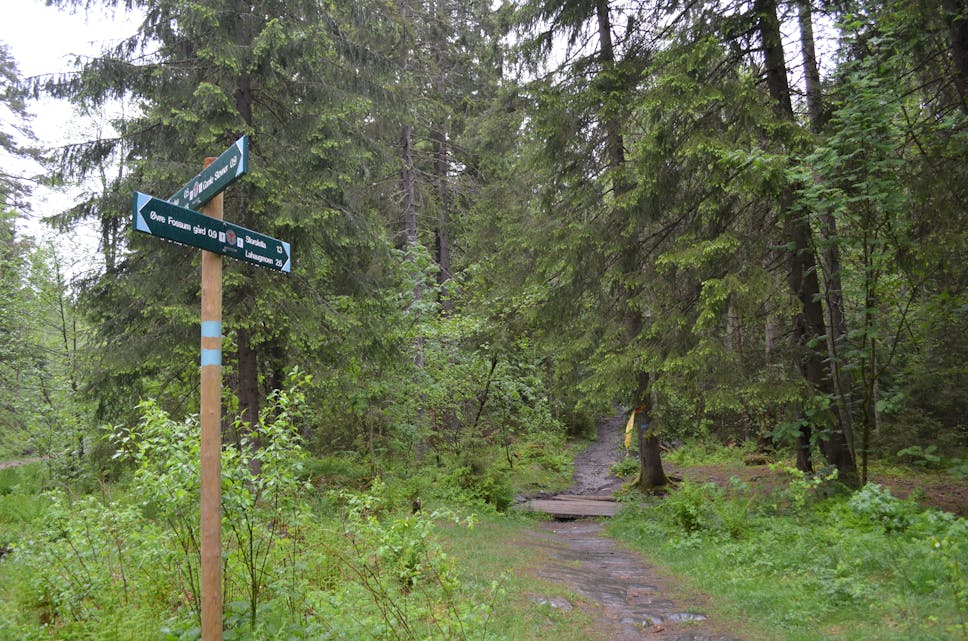 Turstien leder oss inn i Gjelleråsmarka bak Skillebekk, Vestli og Stovner. Følger du stien kommer du opp til Gubbero på toppen av åsen bak Liastua, og videre inn mot Lahaugmoen.