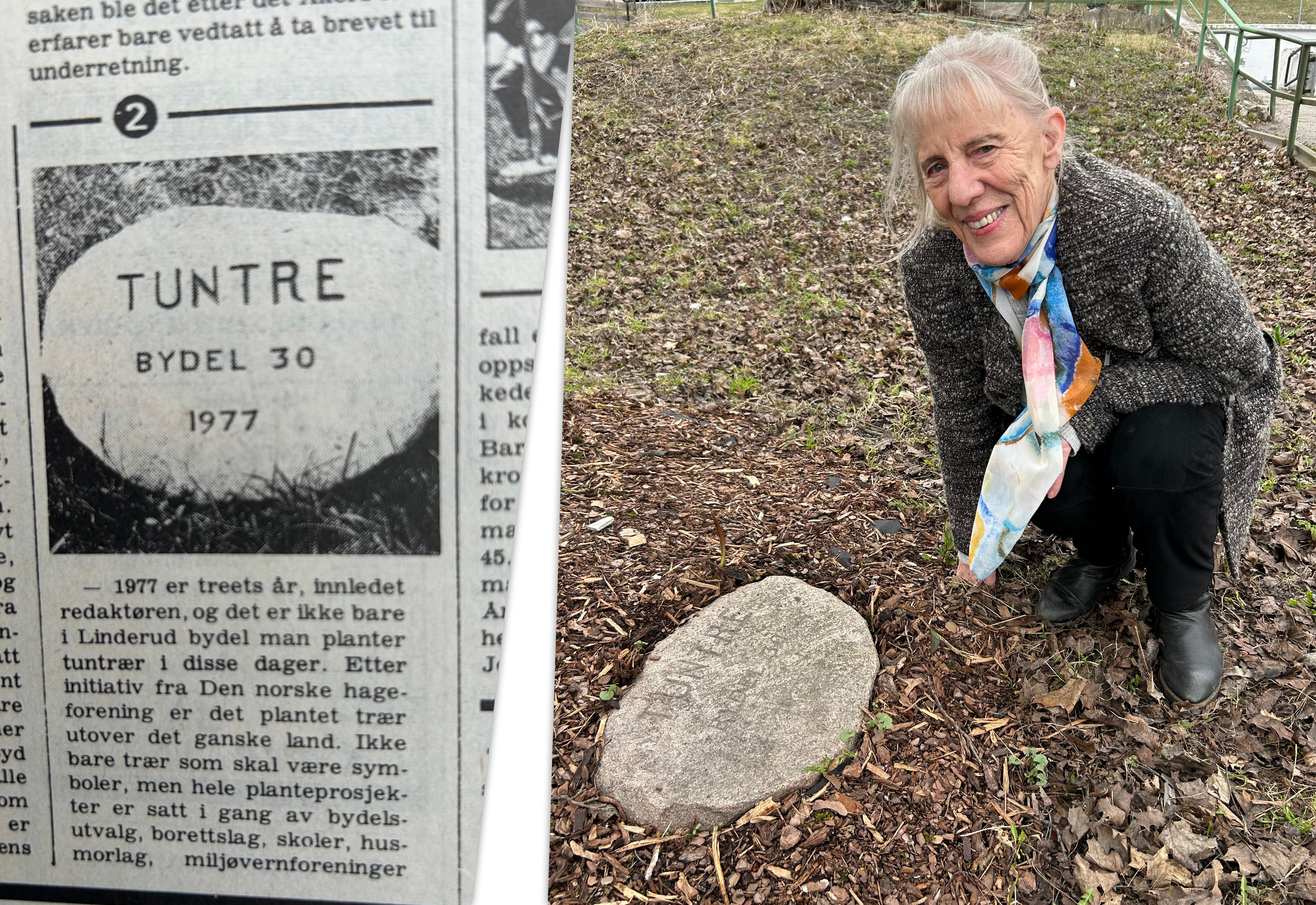 MARKERTE HISTORIEN: Grethe Opkvitne ved steinen som ble gjenoppdaget da Sletteløkka ble oppgradert. Her ser vi også en faksimile fra Akers Avis Groruddalens arkiv: «Tuntre bydel 30 1977» på Sletteløkka.