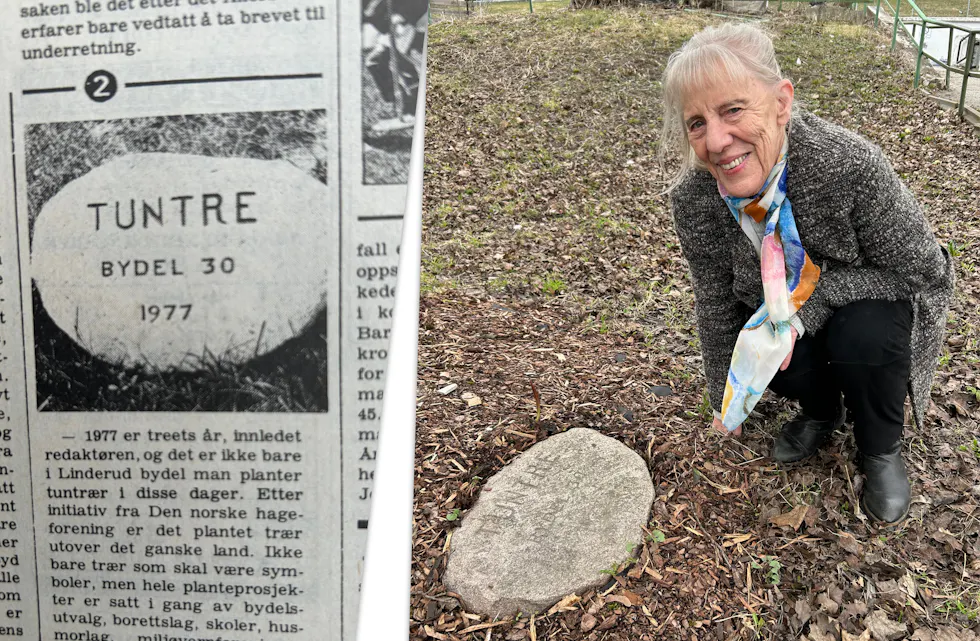 MARKERTE HISTORIEN: Grethe Opkvitne ved steinen som ble gjenoppdaget da Sletteløkka ble oppgradert. Her ser vi også en faksimile fra Akers Avis Groruddalens arkiv: «Tuntre bydel 30 1977» på Sletteløkka.