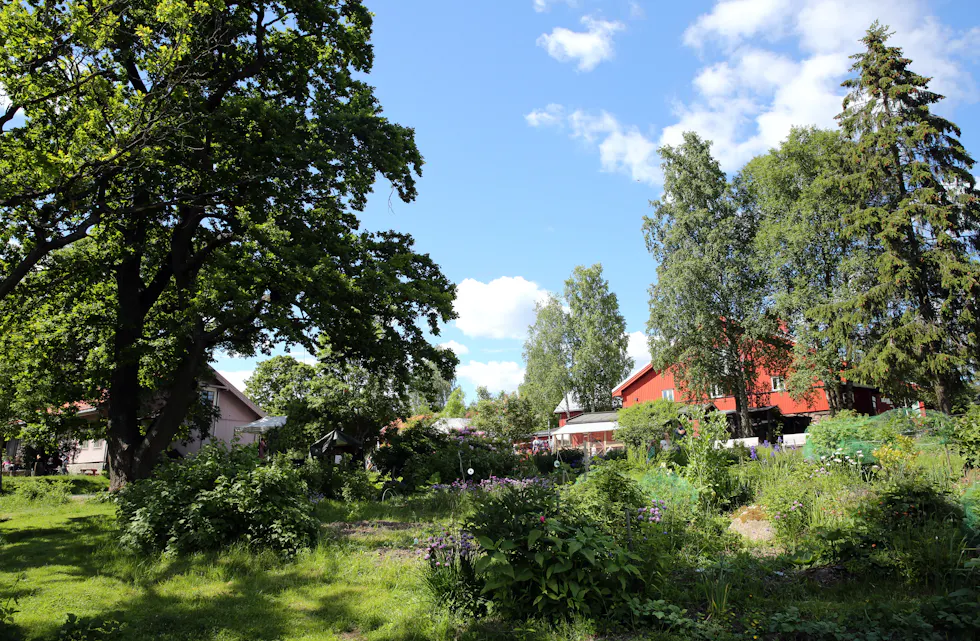 BJERKE Årvoll gård