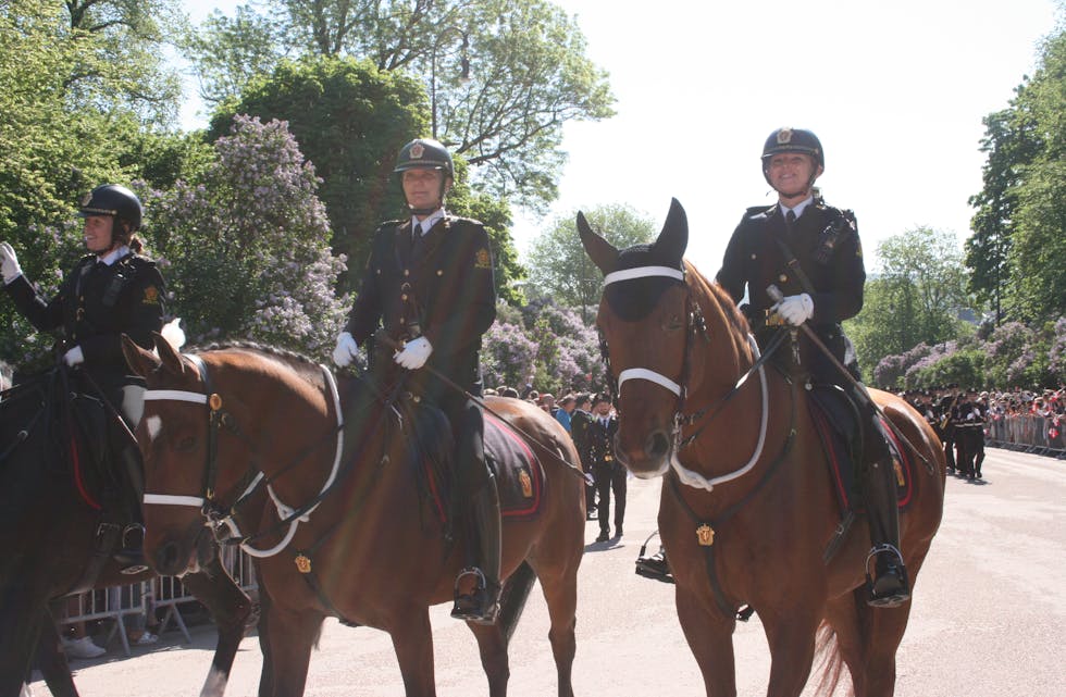GODT VANT: Politihestene som får oppdraget med å gå først i toget, er kjent for å ha godt lynne selv når det er full fest rundt dem.