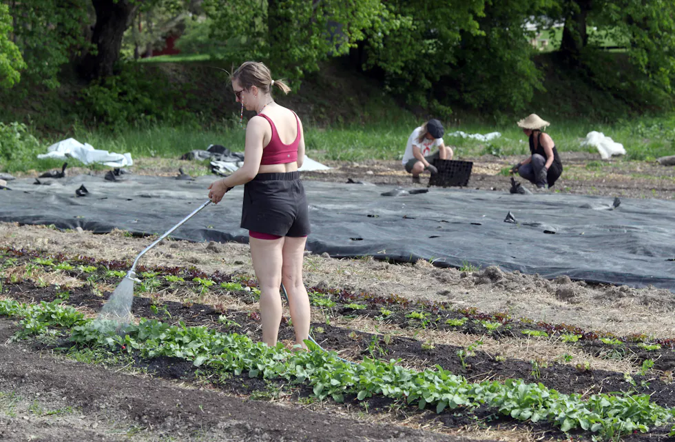 Linderud andelshage 9