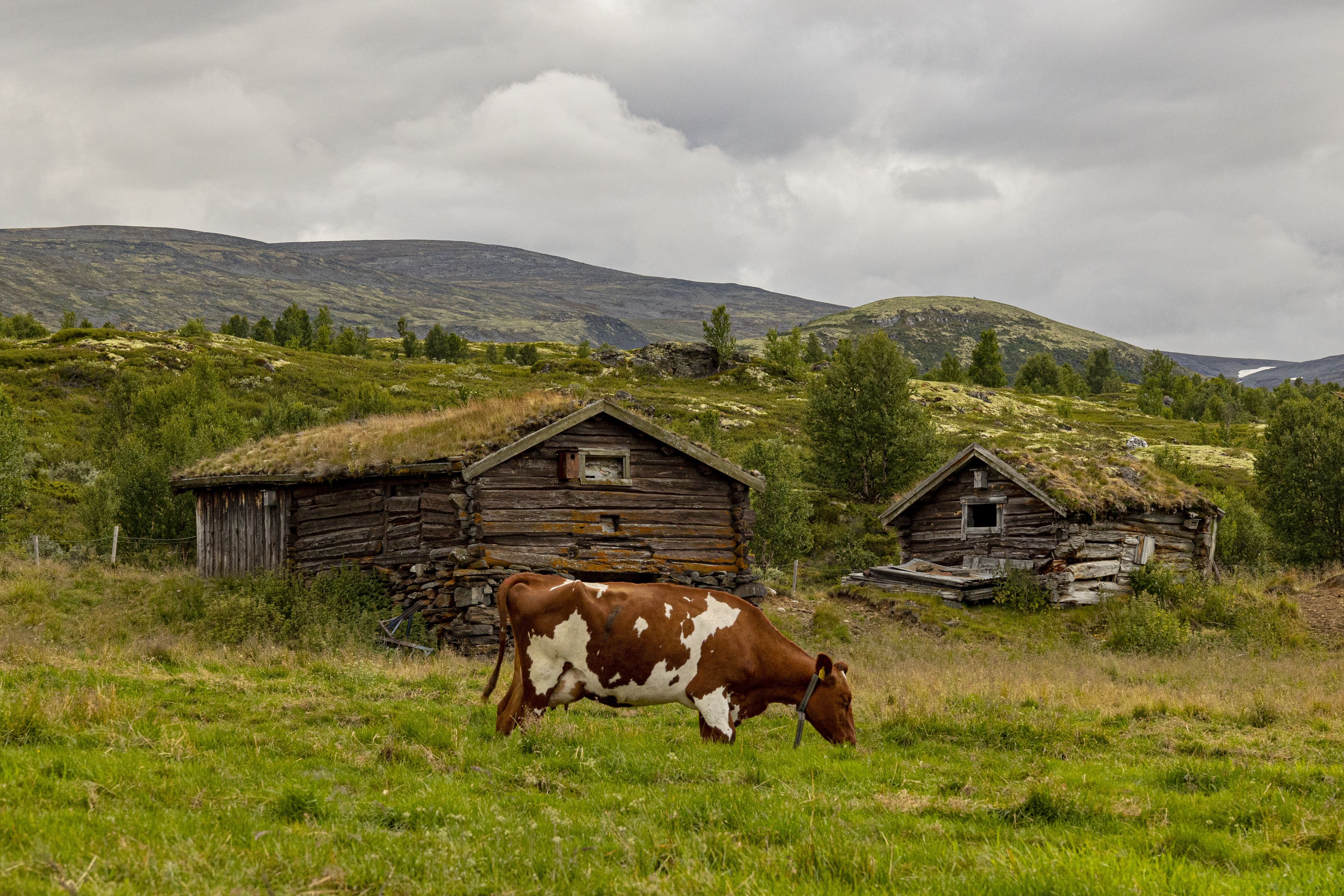2022: «Freia-reklamen» til Stein Lyberg gikk til topps.