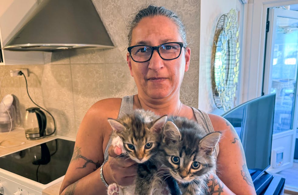 I TRYGGE HENDER: Kattungene ble dumpet og forlatt, men er nå i trygge hender hos dyrevernorganisasjonen Hjerte for hjemløse katter. Her med leder Shahin Rode.