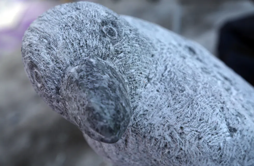 STEINHOGGERFESTIVALEN 2024