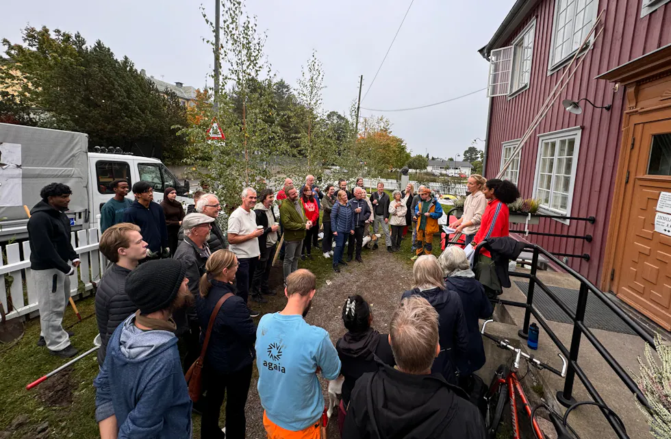 Treplanting Steinhoggerhagen