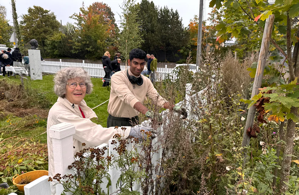 Treplanting Steinhoggerhagen