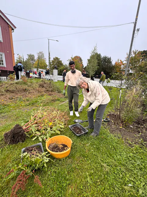 Treplanting Steinhoggerhagen