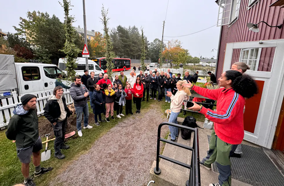 Treplanting Steinhoggerhagen