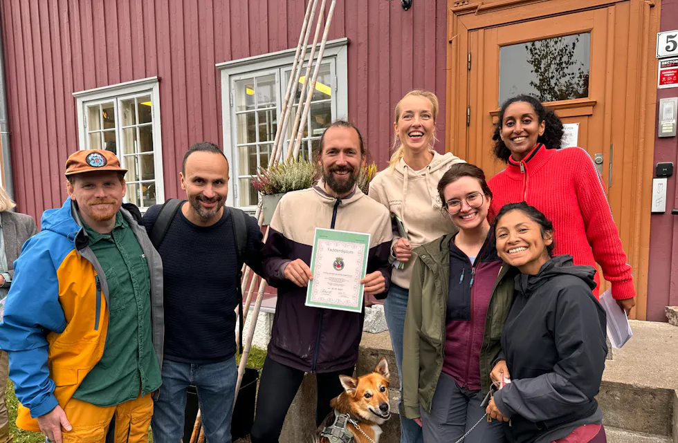 Treplanting Steinhoggerhagen