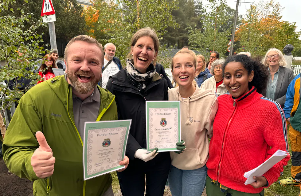 Treplanting Steinhoggerhagen