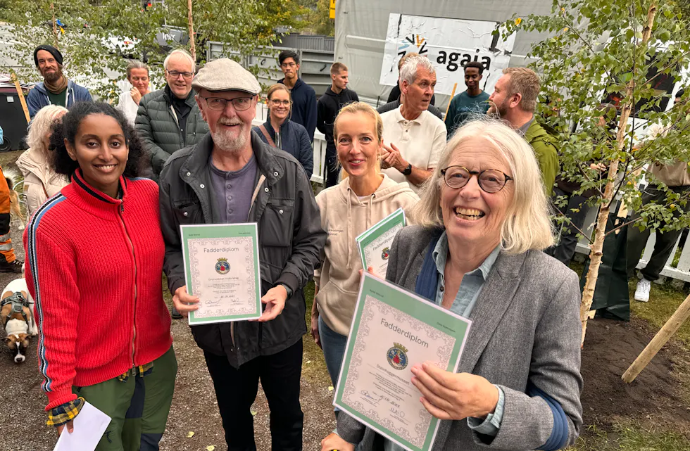 Treplanting Steinhoggerhagen