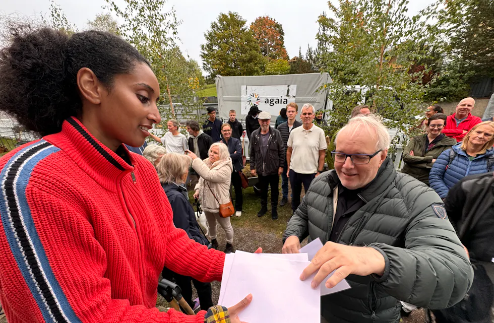 Treplanting Steinhoggerhagen