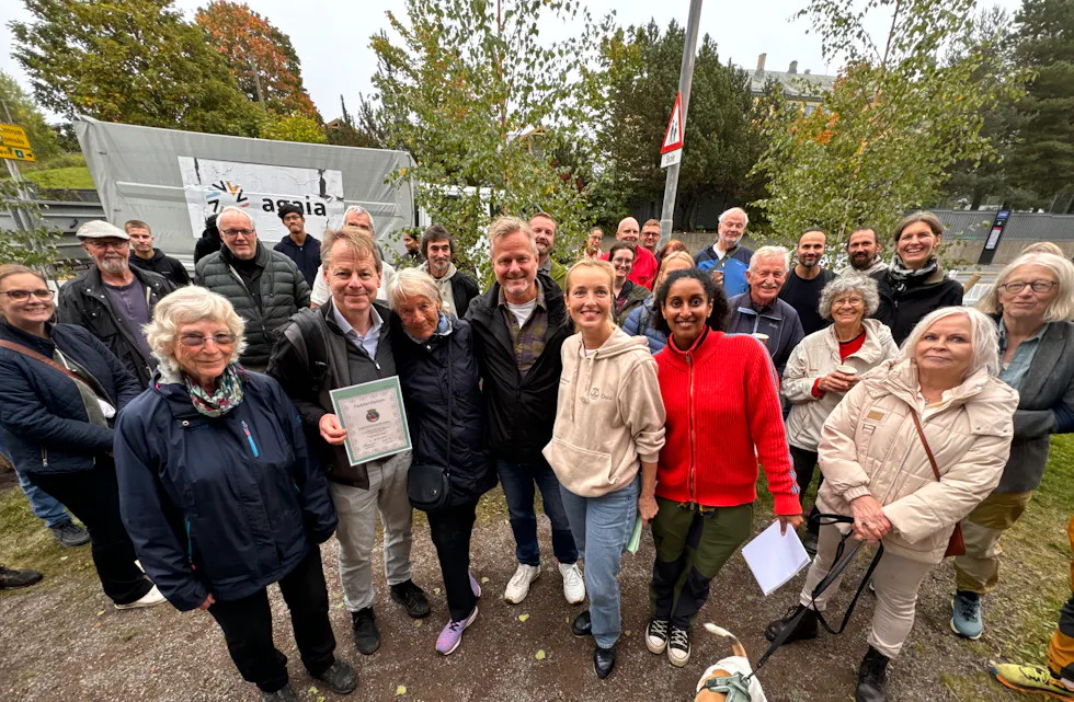 Treplanting Steinhoggerhagen