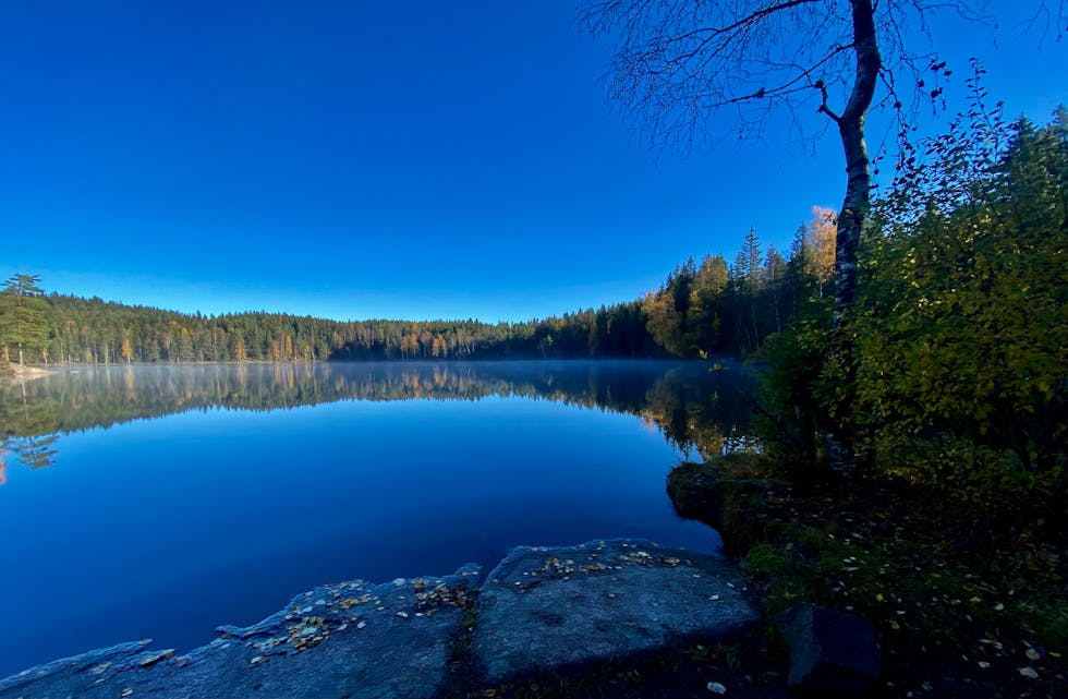 SKAL TAPPES: Romstjern i Lillomarka skal gjennom en større rehabilitering. Det vil blant annet innebære at vannet tappes med fem meter fra februar til april. (Foto: Arne Hessenschmidt)