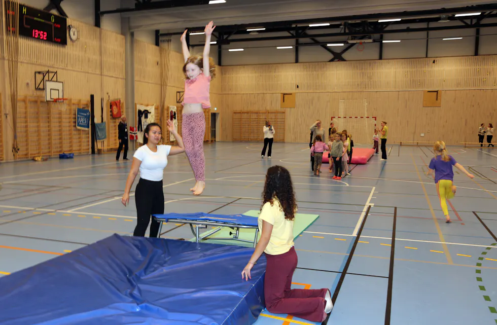 ARES TURNFORENING 100 ÅR