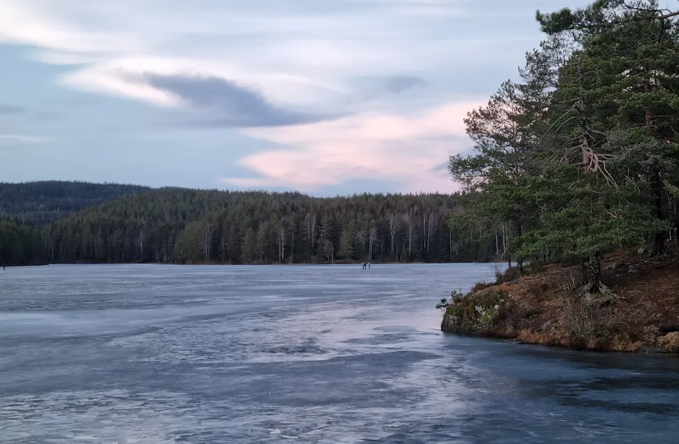 Skøyteløpere, Alungsjøen