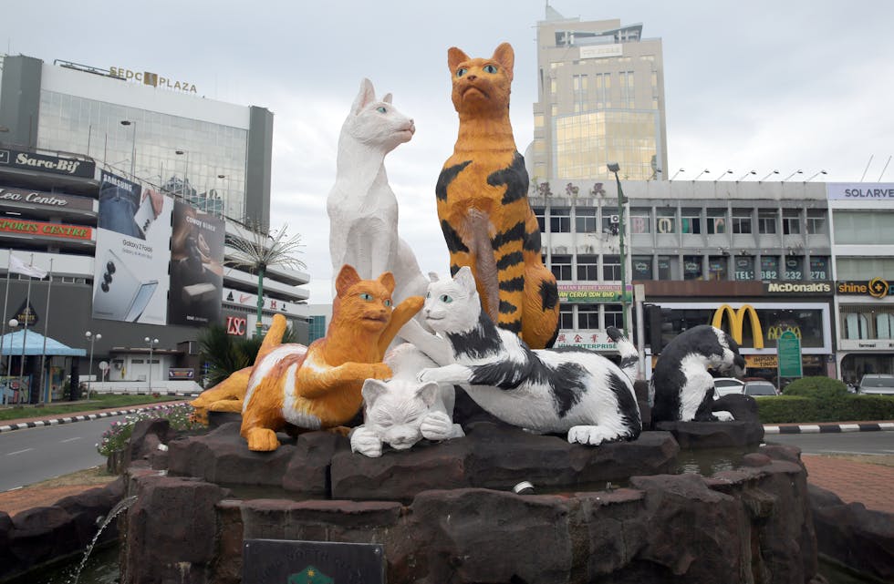 LETT SYNLIG: Ingen som besøker Kuching kan unngå å støte på denne kattefamilien.