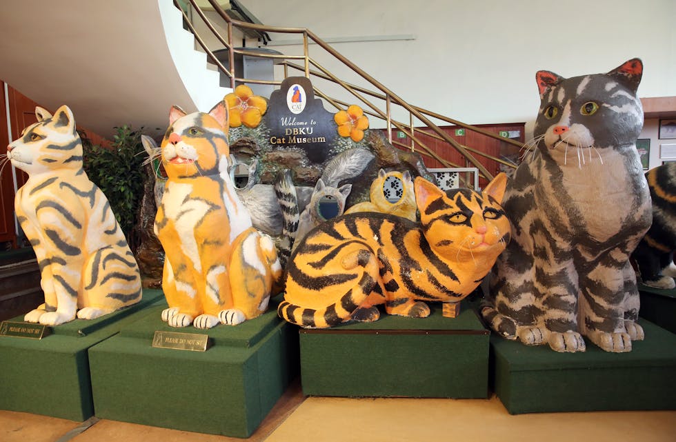 KATTEMUSEET I KUCHING.