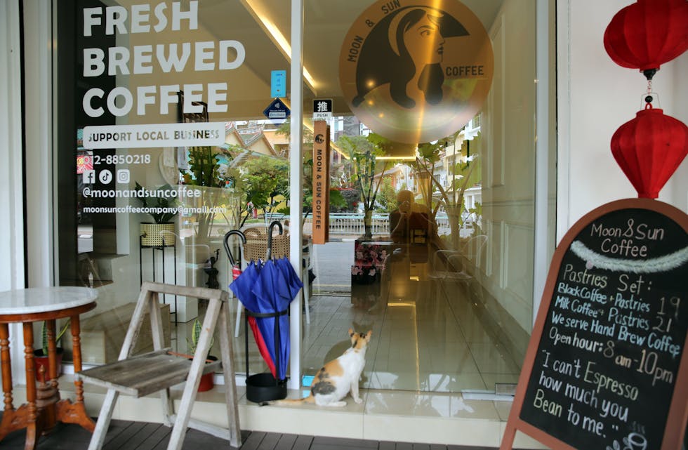 LUR KATT: Denne katten vet at det blir en godbit hvis den venter utenfor inngangen til denne kafeteriaen.