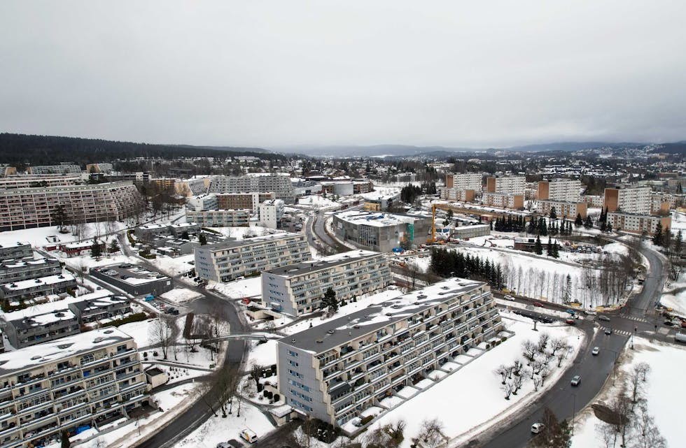 Vestli, Stovner, Stovner bad, Bydel Stovner