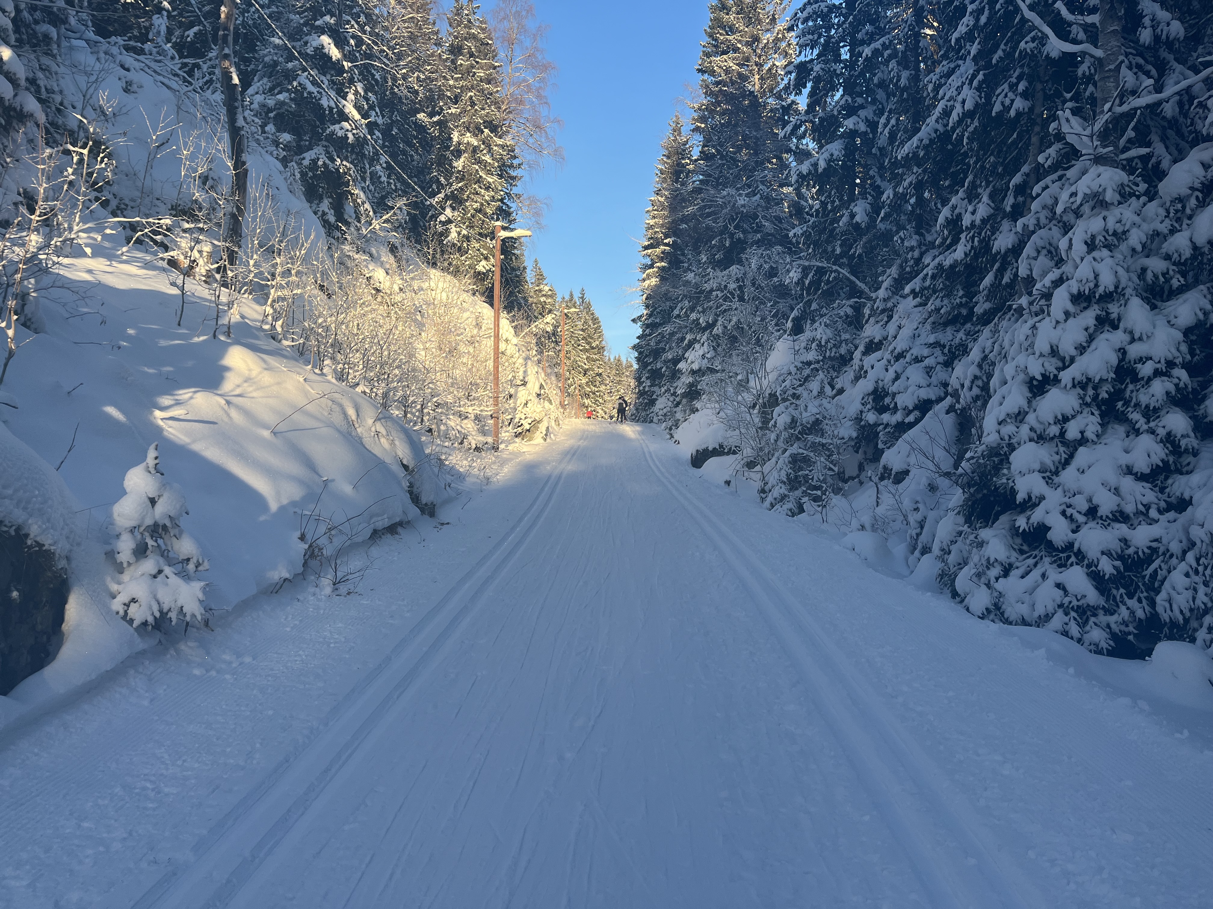 Hvite og snøkledde omgivelser, et lite stykke ovenfor Alunsjøkrysset. 