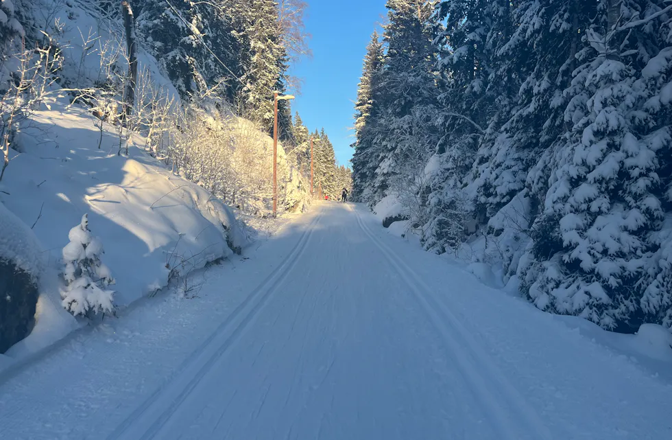 Hvite og snøkledde omgivelser, et lite stykke ovenfor Alunsjøkrysset.