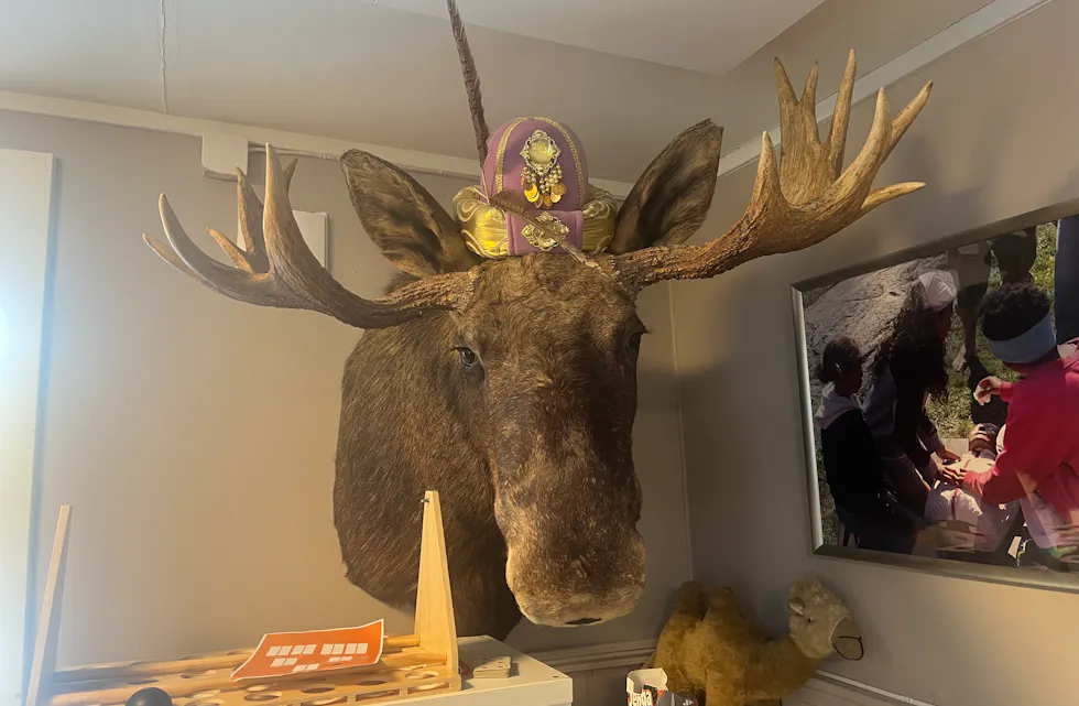 Her henger elgen «Moose-tafa» – et utstoppet symbol på organsinasjonens flerkulturelle identitet.