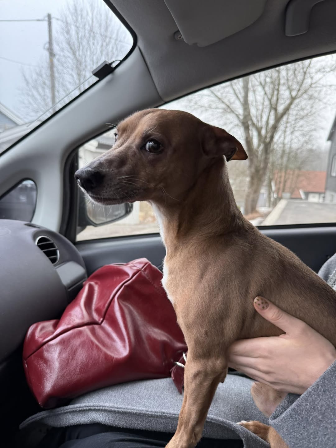 Foto: Nina Stensrud Martin.