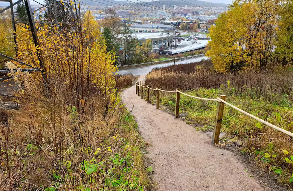 Foto: Bymiljøetaten