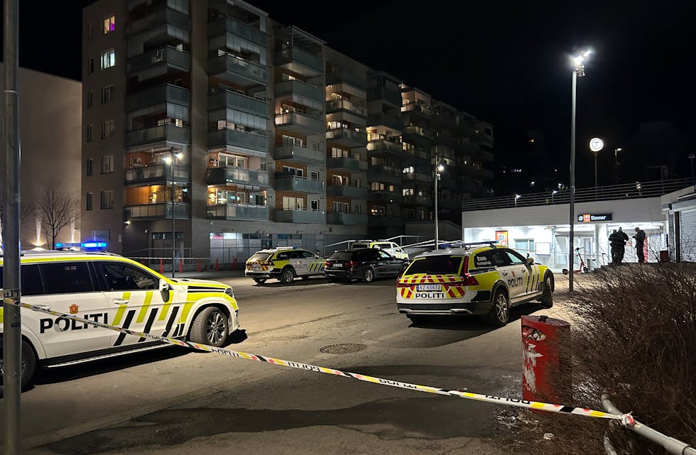 En tenåring ble skutt og alvorlig skadet ved Stovner t-banestasjon 17. mars 2025, kun fire dager etter at en ungdom ble alvorlig skadet i et knivangrep like ved. Politiet brukte store ressurser på hendelsen, og pågrep to tenåringer litt senere på natta.