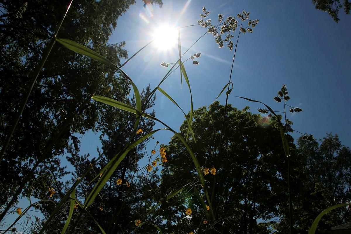 SOLA SKINNER: Kom deg ut og nyt sola denne uka! Foto: Martine Myhre Shurdhiqi