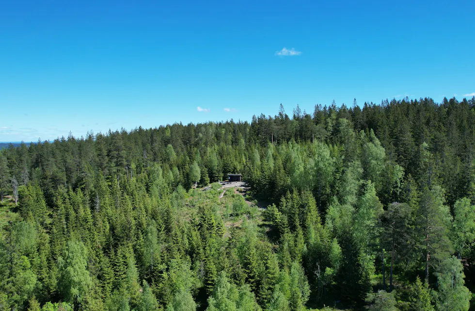 Gubbero i Gjelleråsmarka er et populært turmål. Her har du utsikt over hele Oslo og langt utover Oslofjorden.