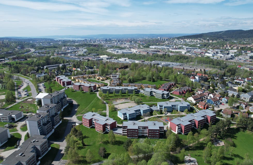 Furuset og ned mot sjøen