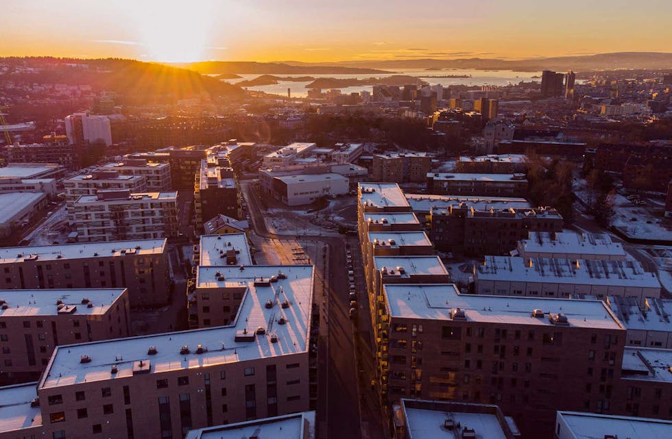 daniel-charles-hextall-dFW8NXJLN5U-unsplash