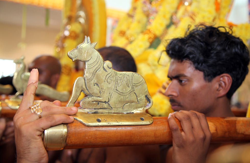 RELIGIØS FESTIVAL I MURUGAN TEMPEL PÅ ROMMEN