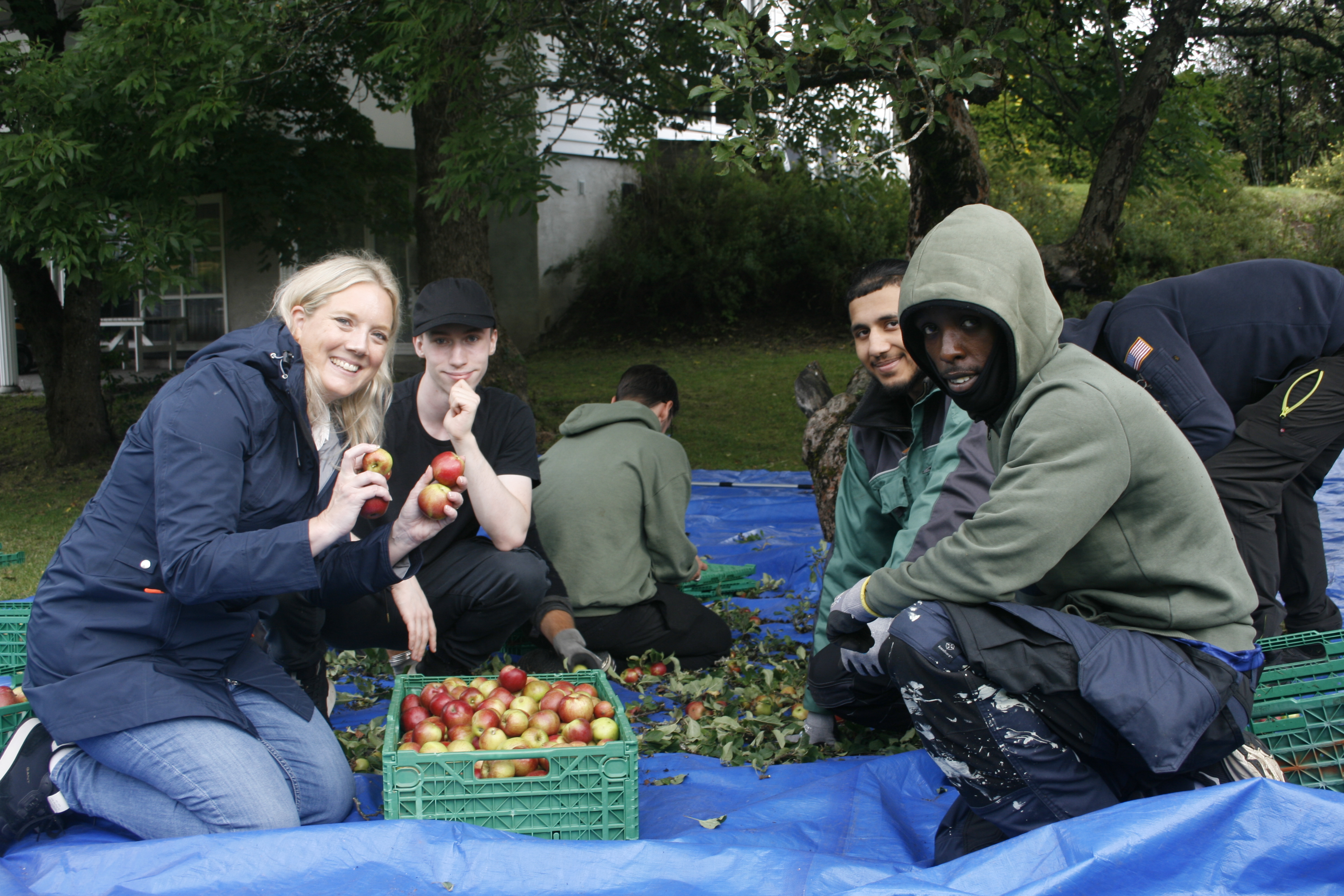 GOD FANGST: Lass med epler er klare til å bli presset til knallgod eplemost.