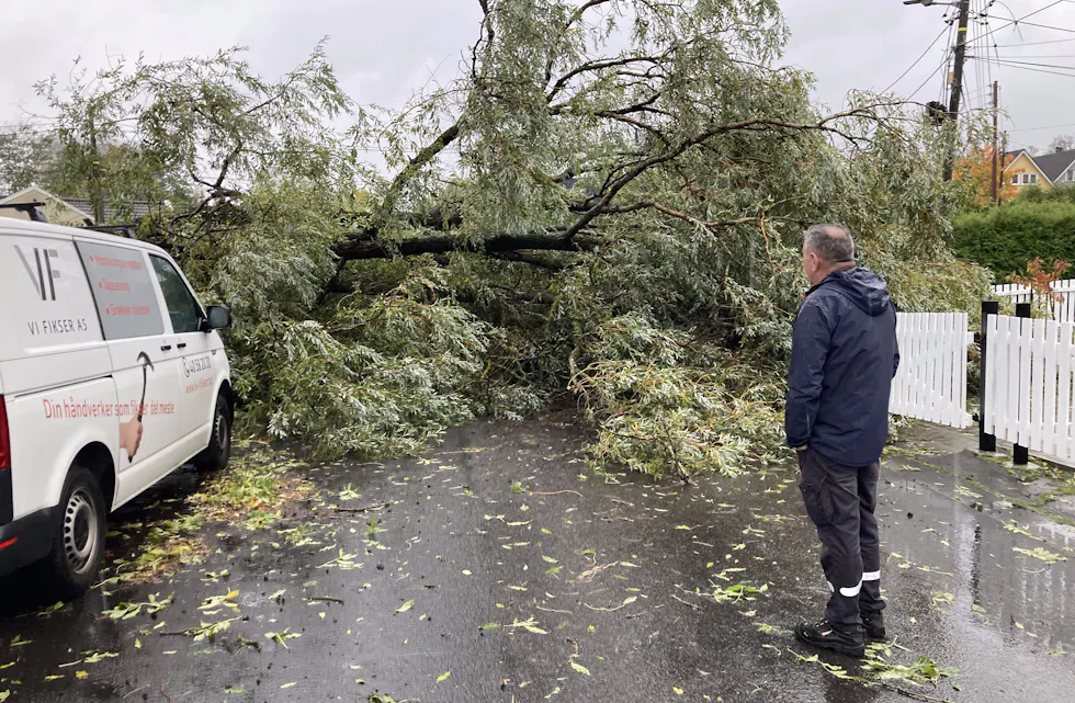 Treet tok også med seg en strømmast.
