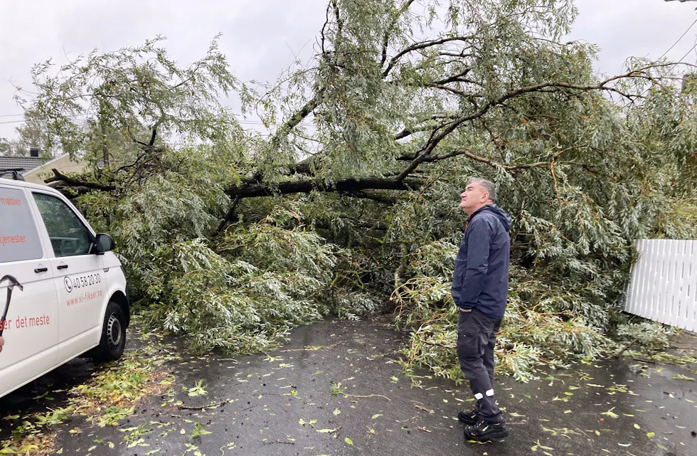 «Amy» tok lørdag formiddag med seg et stort tre på Grorud. En av naboene, Ali, forteller at han kjørte forbi bare et par minutter i forkant.