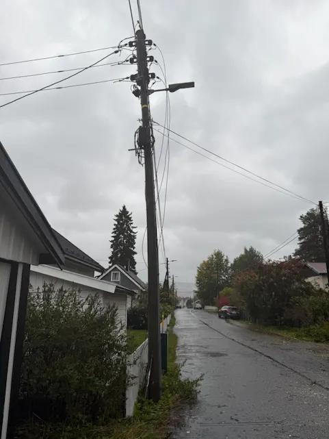 Strømkabler røk da treet falt – flere hus i området har vært uten strøm siden tidlig på morgenen.