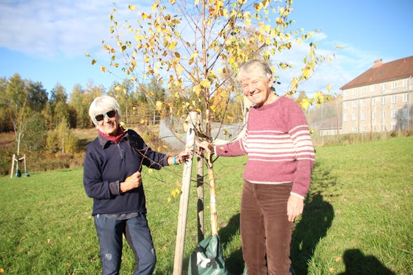 – ER SÅ VIKTIG: Rita Gundersen og Viel Ødegaard er svært lite glad i bit-for-bit-nedbygging av naturen i Groruddalen. Da er det godt å se at det innimellom bygges opp igjen bit for bit også, som de nyplantede trærne ved Bredtvet.