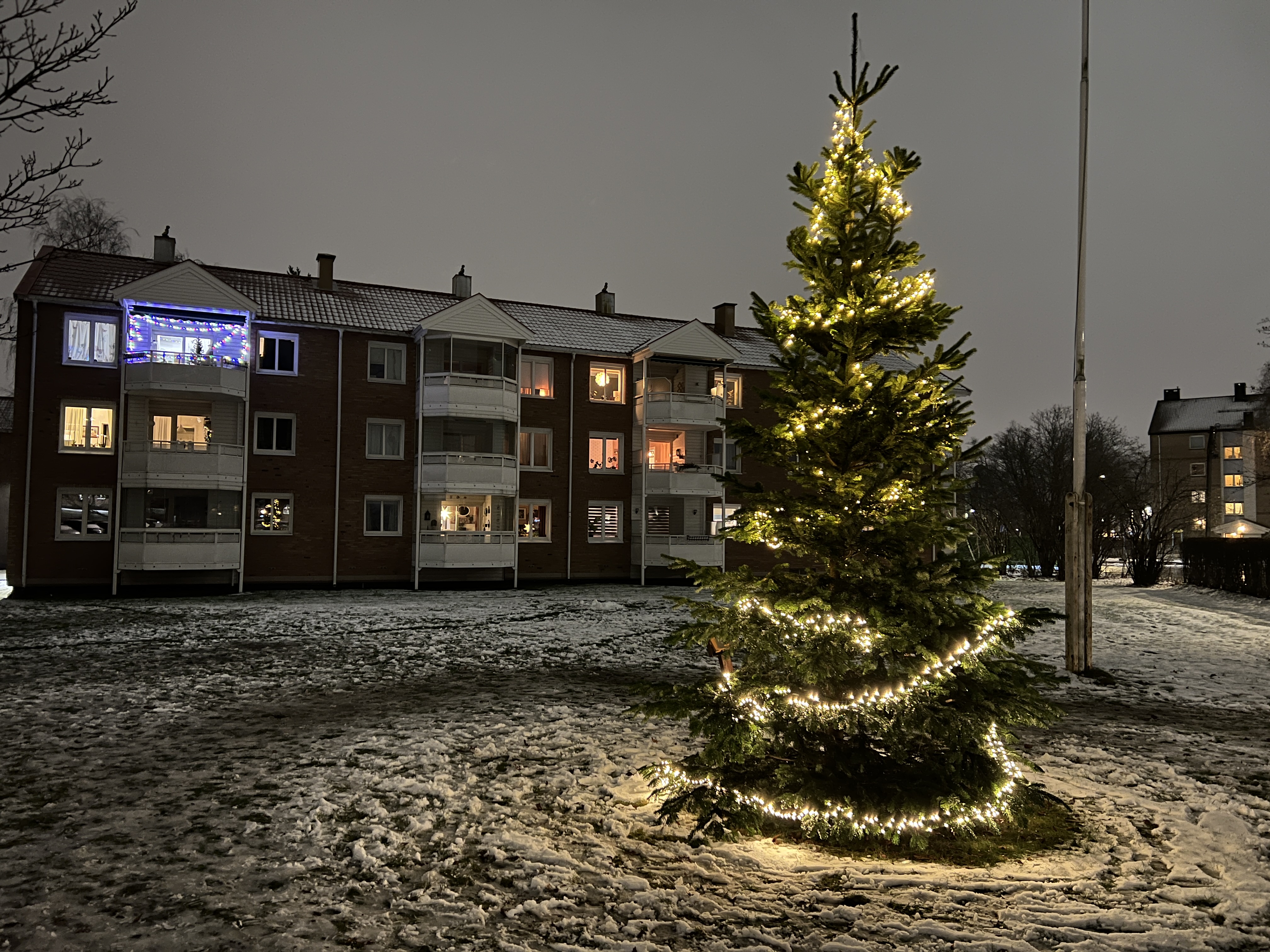 FLAEN BORETTSLAG «SKRUDDE» PÅ LYSET: Julegrana i Flaen borettslag skaper stemning på tunet – et varmt samlingspunkt i mørketida for store og små. (Foto: Tom Evensen)