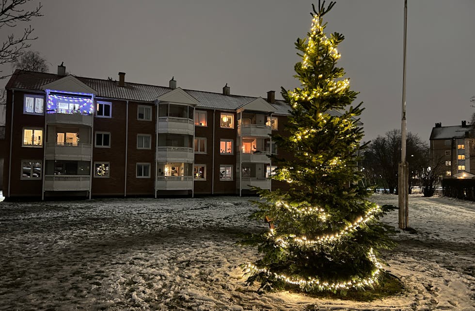 FLAEN BORETTSLAG «SKRUDDE» PÅ LYSET: Julegrana i Flaen borettslag skaper stemning på tunet – et varmt samlingspunkt i mørketida for store og små. (Foto: Tom Evensen)