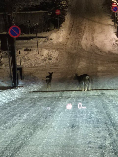 Foto: Stian Mostue Hanssen.