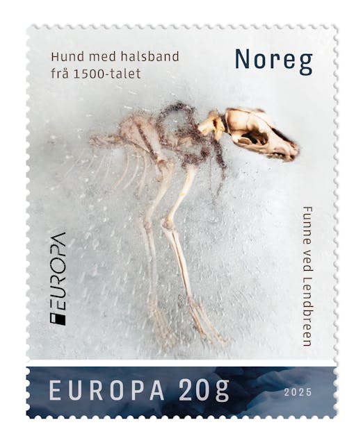 BEJUBLET FRIMERKE: Dette frimerket med en 500 år gammel nedfrosset hund ble valgt til Europas fineste i 2025. Foto: Posten