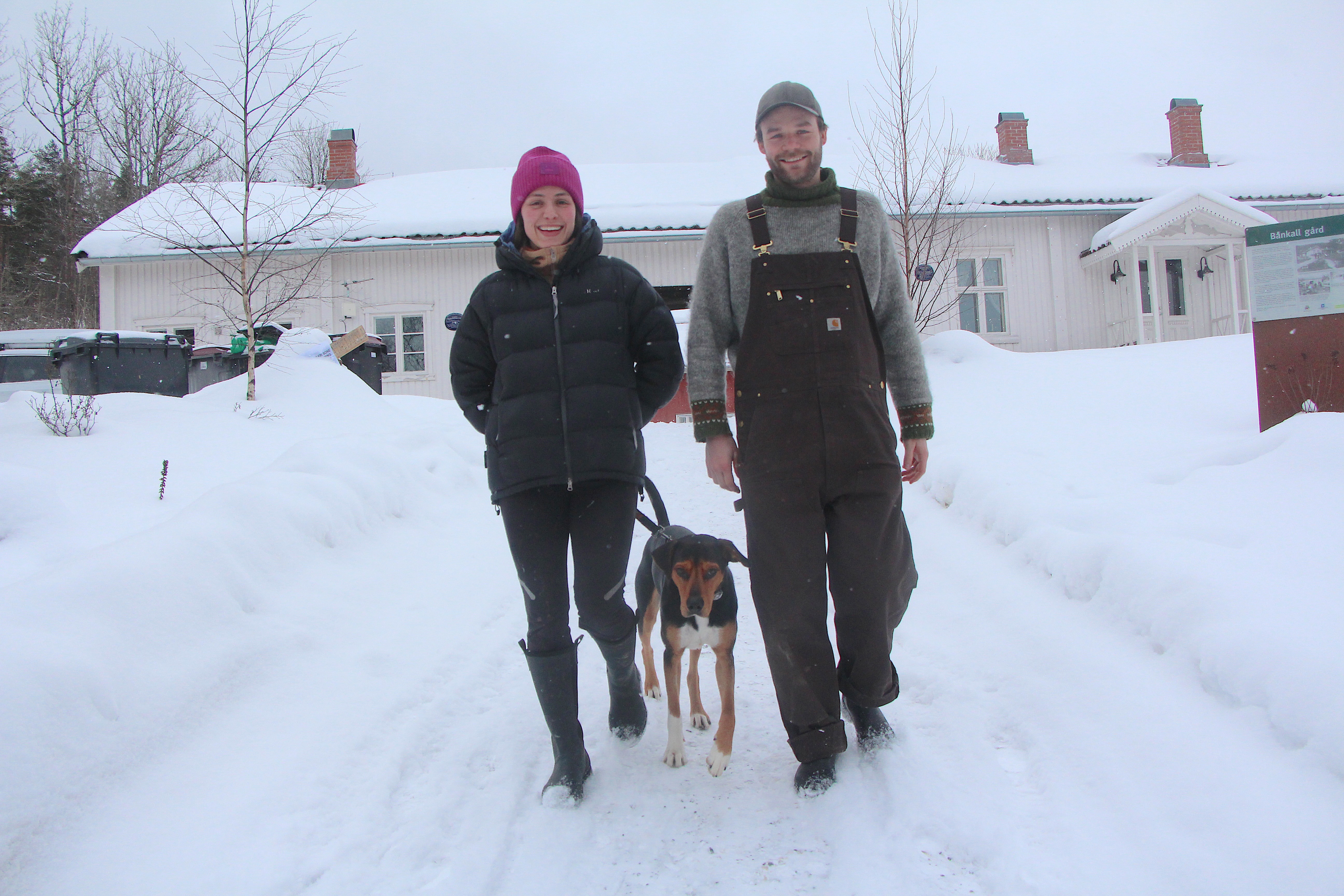 NYE KREFTER: Samboerparet Maia Solberg og Andreas Lorang er nye bybønder på Bånkall gård, og sier at en drøm har gått i oppfyllelse.