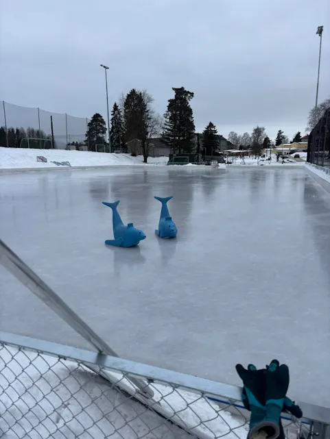 Foto: Årvoll og Tonsenhagen naturisbane.