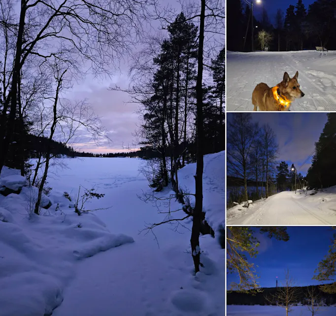 Foto: Bente Kjelstad.